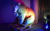Bar der toten Tiere 2025